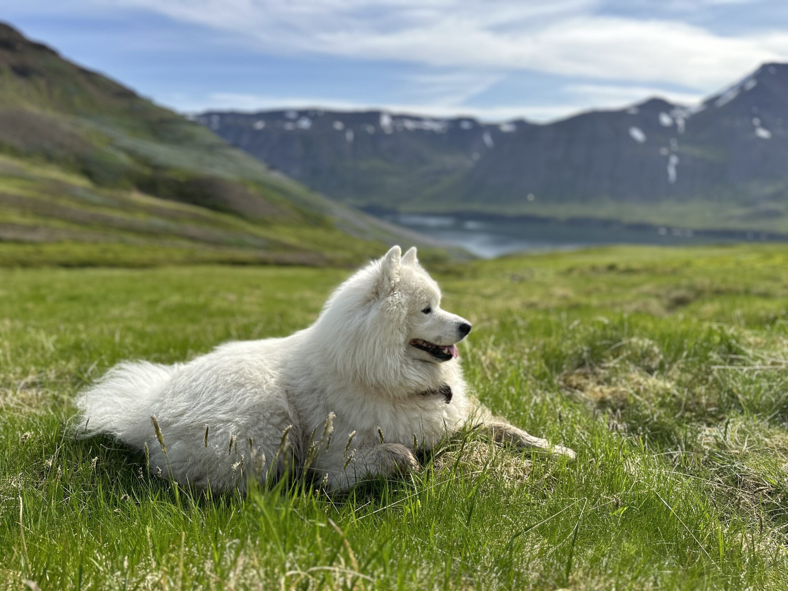 Sólon_Freyja_Travel